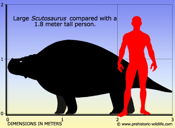 Картинки по запросу Скутозавр, скутозавр фото