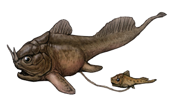 Mother fish. Materpiscis attenboroughi. Матерпискис Materpiscis attenboroughi. Панцирные рыбы. Панцирные рыбы девонского периода.