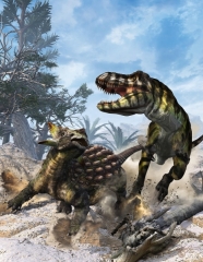 Ankylosaurus Tyrannosaurus