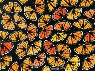 Бабочки Данаида монарх
