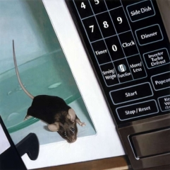Mouse in Microwave 1