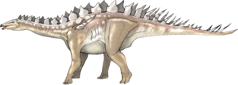 Хиалингозавр. Травоядный динозавр с шипами на спине. Динозавр с шипами на хвосте. Динозавр с пластинами на спине. Травоядные динозавры с шипами