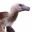 Dacotaraptor12